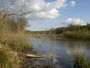 Paysage